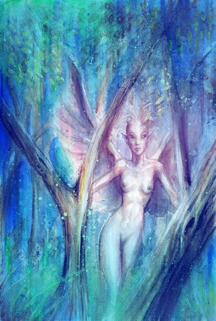 ForestNymph